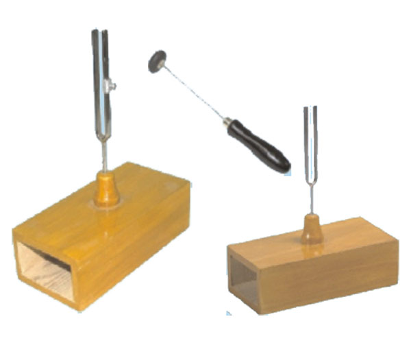 Pair Of Tunning Fork