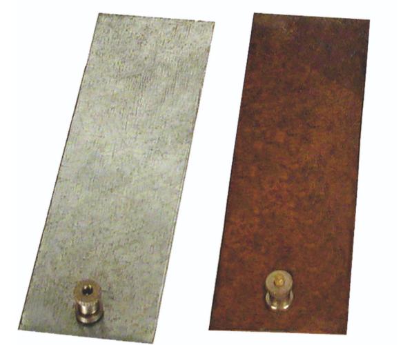 Electrode With Terminal