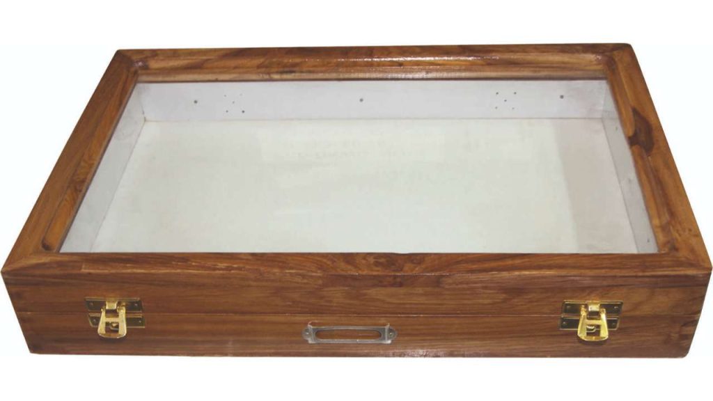 Insect Setting Showcase