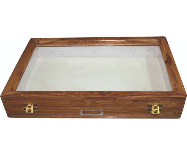 Insect Setting Showcase