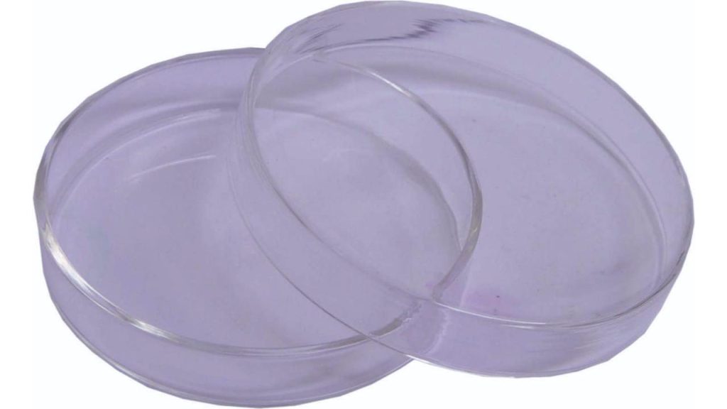 Petri Dish