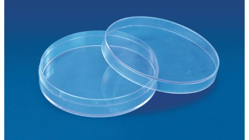 Petri Dish (Culture)