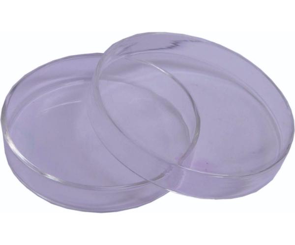 Petri Dish