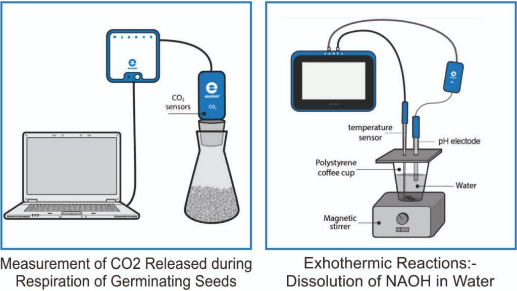Some Real Life Examples